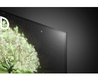 LG OLED55A13LA - 635945 - zdjęcie 11